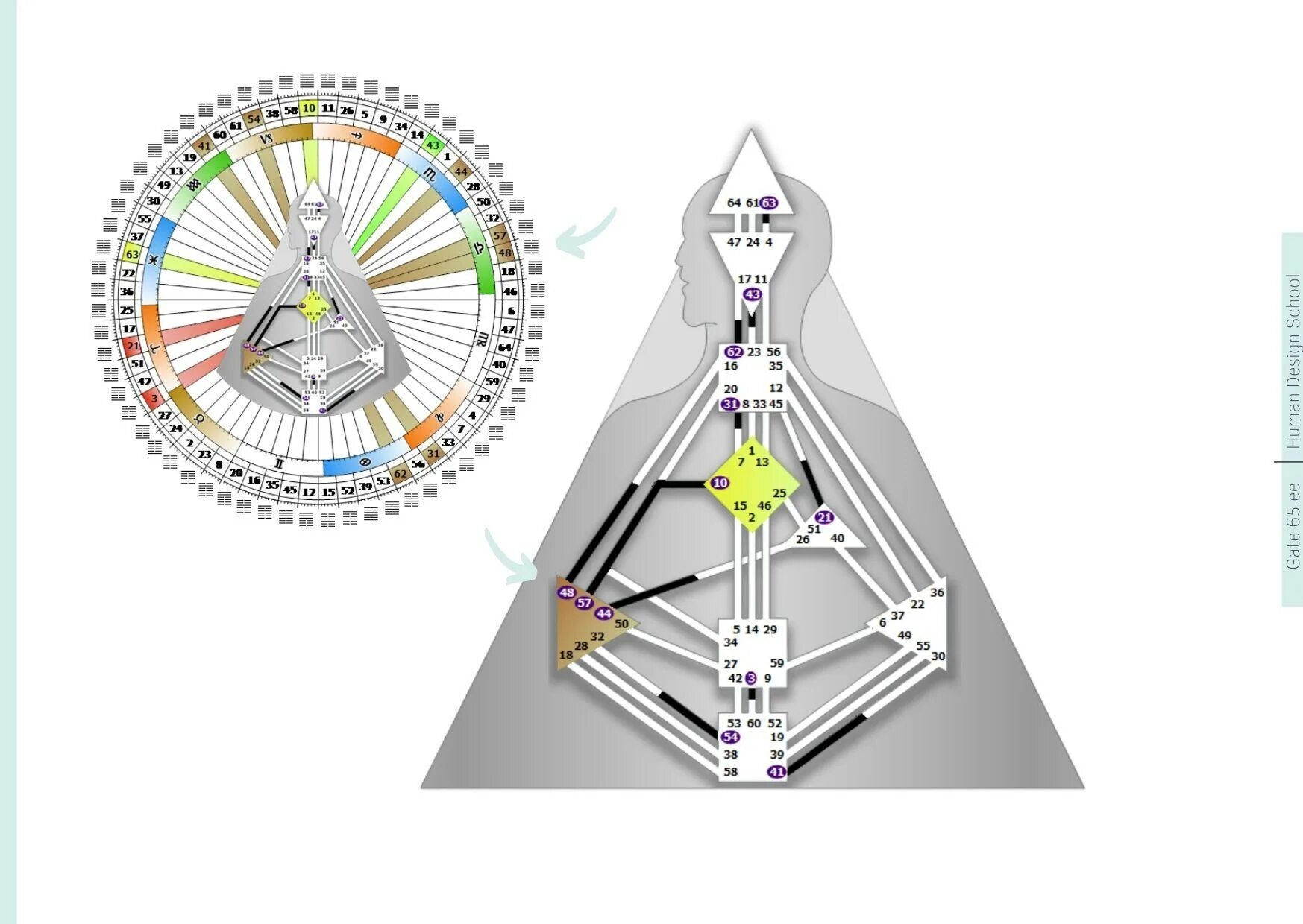 Хьюман дизайн. Human design картинки. Бодиграф рейв-карта. Правоугольный инкарнационный крест. Мандала дизайн человека.