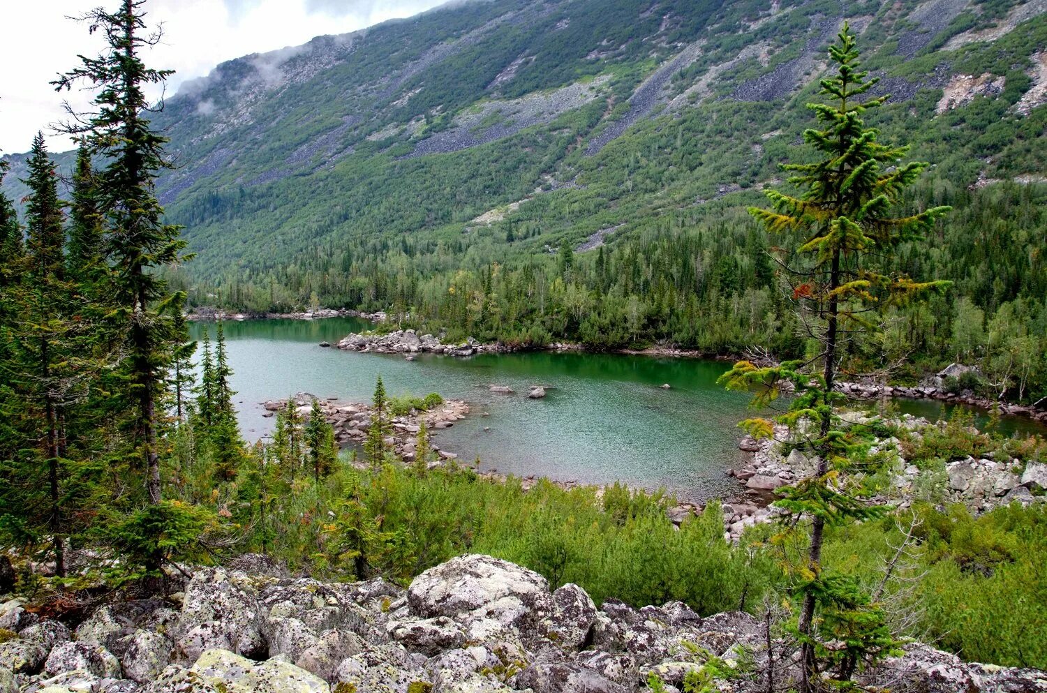 баргузинский заповедник 1916. заповедник созданный в 1916. баргузинский биосферный заповедник. баргузинский государственный биосферный заповедник. баргузинский заповедник биосферный полигон.