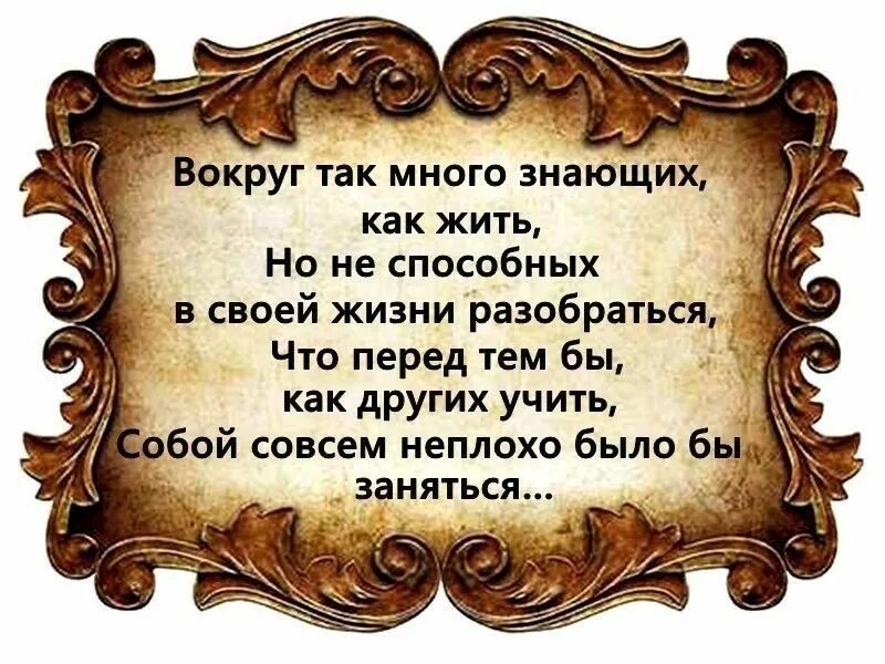 Лозунги цитаты. Умные цитаты. умные мысли и высказывания. фразы про советы. мудрые цитаты.