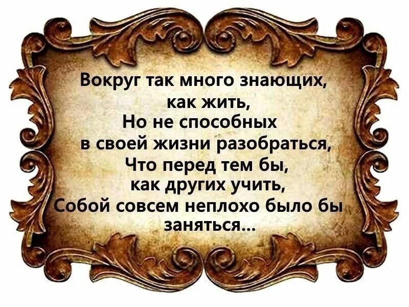 Я проживаю свою 7 жизнь. Умные цитаты. Мудрые мысли. Умные мысли и высказывания. Фразы про советы.