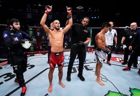 Мухамед мокаев ufc
