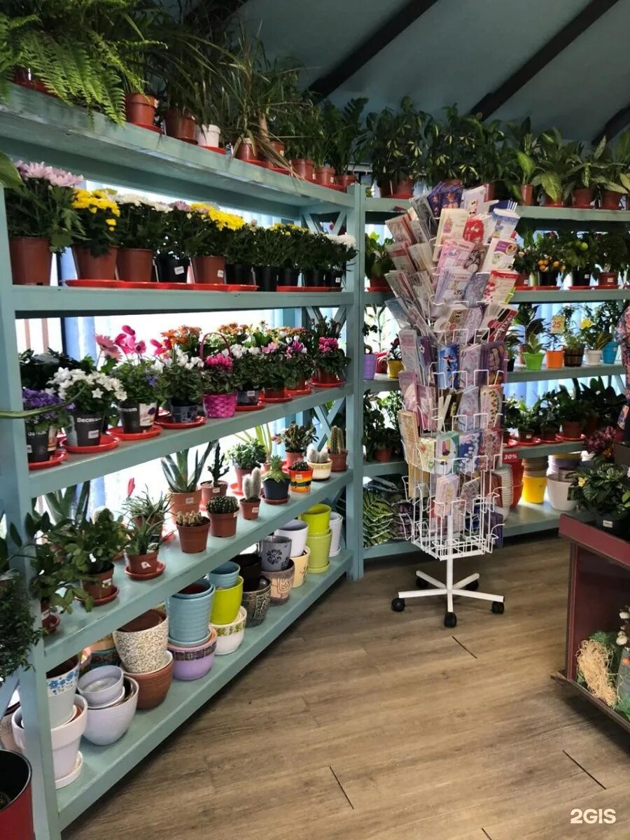 движение магазин улан удэ. магазин спец улан-удэ. движение магазин улан удэ.