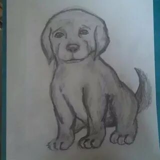 Как нарисовать собачку муму