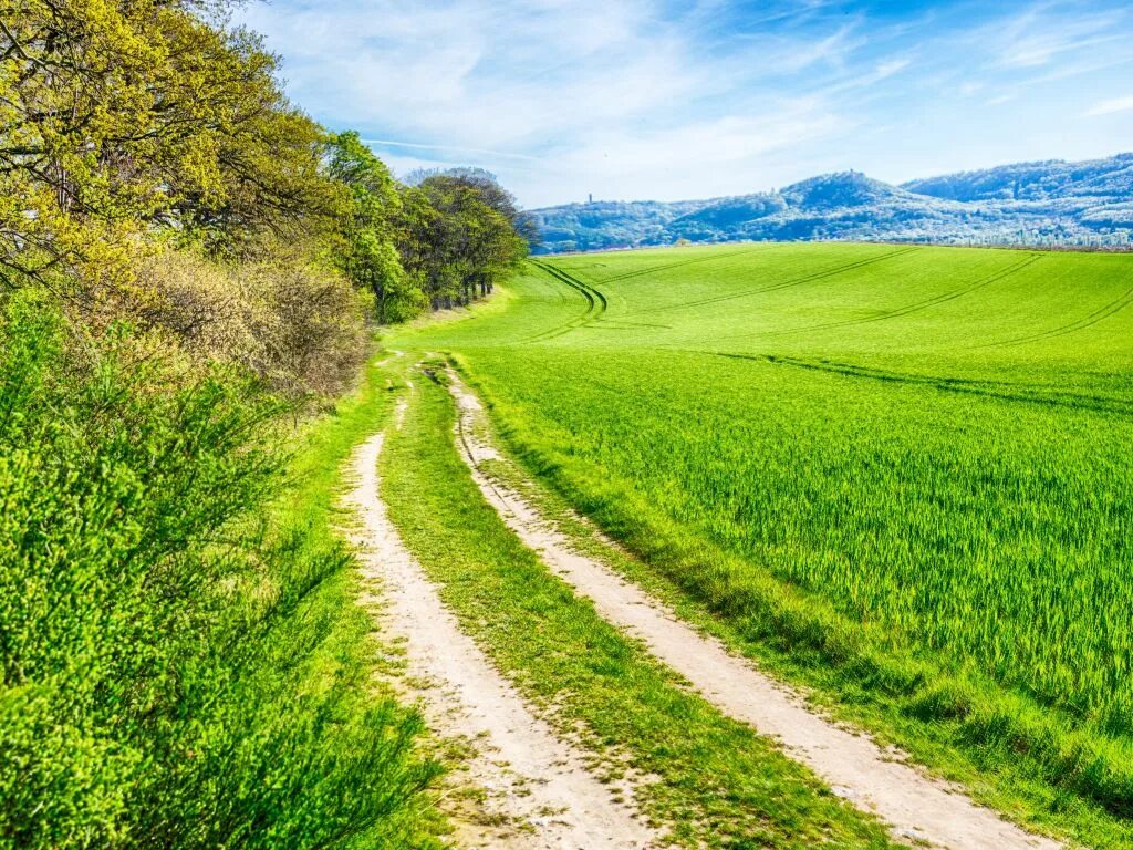 County roads. Летняя дорога. Зеленая дорога. Дорога с травой. «Зеленые холмы».