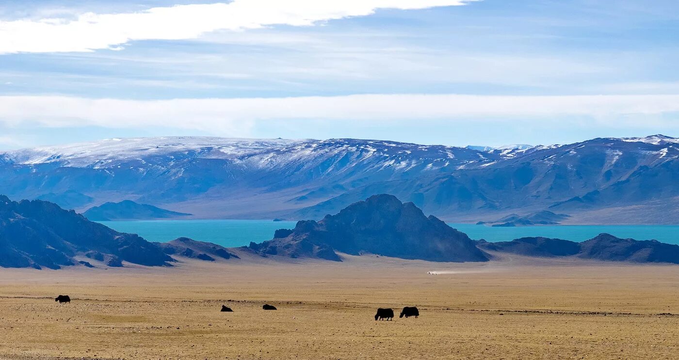 Монголия гобийский алтай. Монголия ландшафт. Степи монгол. Завханский аймак монголия. Степи монголии.