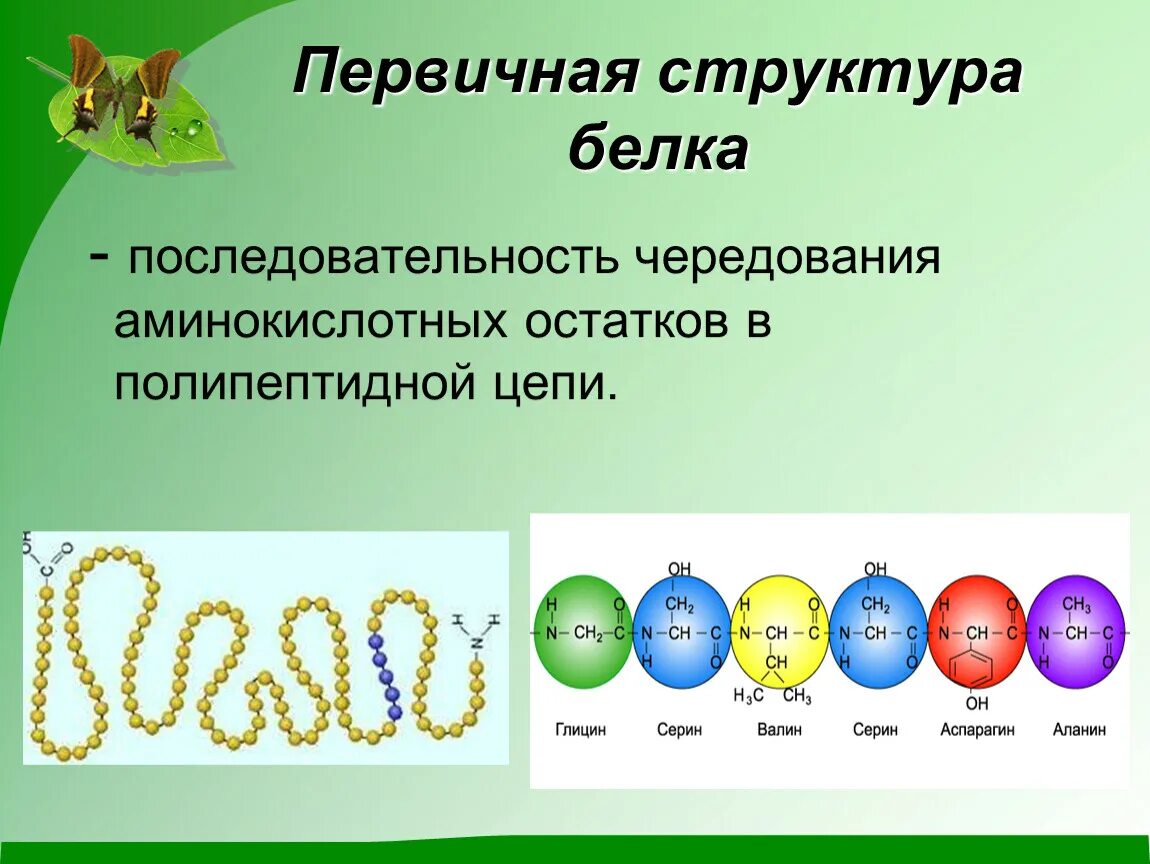 Первичная структура белка. Первичная структура белка последовательность чередования. Первичная структура белка определяется. Первичная структура белков. Первичная структура белка называют