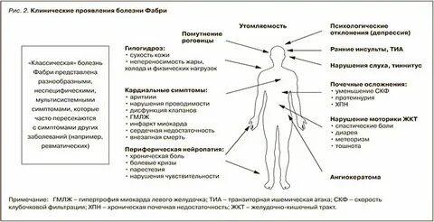 Нормальная беременность клинические рекомендации тесты нмо