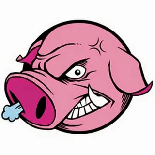 Spy pig