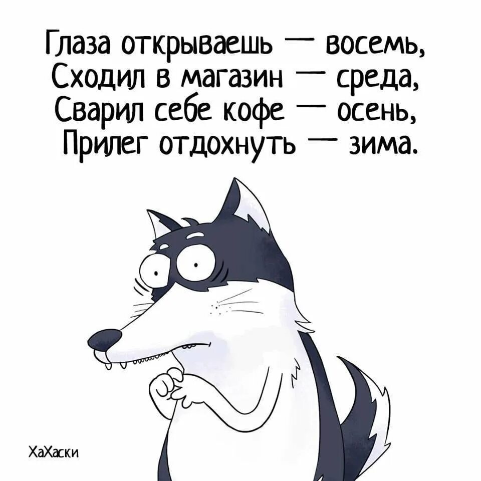 До встречи в понедельник. Варя говорит правду в понедельник среду. Лев лжет по понедельникам вторникам и средам. Смешные высказывания про диету. Понедельник среда.
