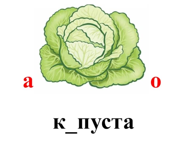 Капуста рисунок. Ребенок в капусте. Капуста для дошкольников. Капуста рисунок для детей.