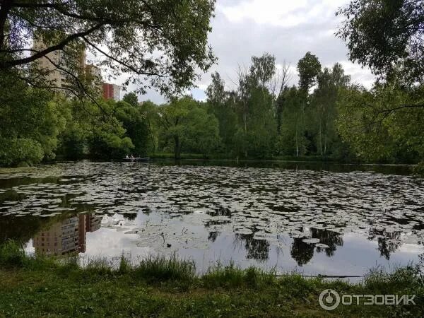 Заречье десна. Зона отдыха Заречье Троицк. Река Десна Заречье. Пляж река Десна Троицк. Зона отдыха Заречье на реке Десна.