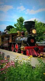 Steam into