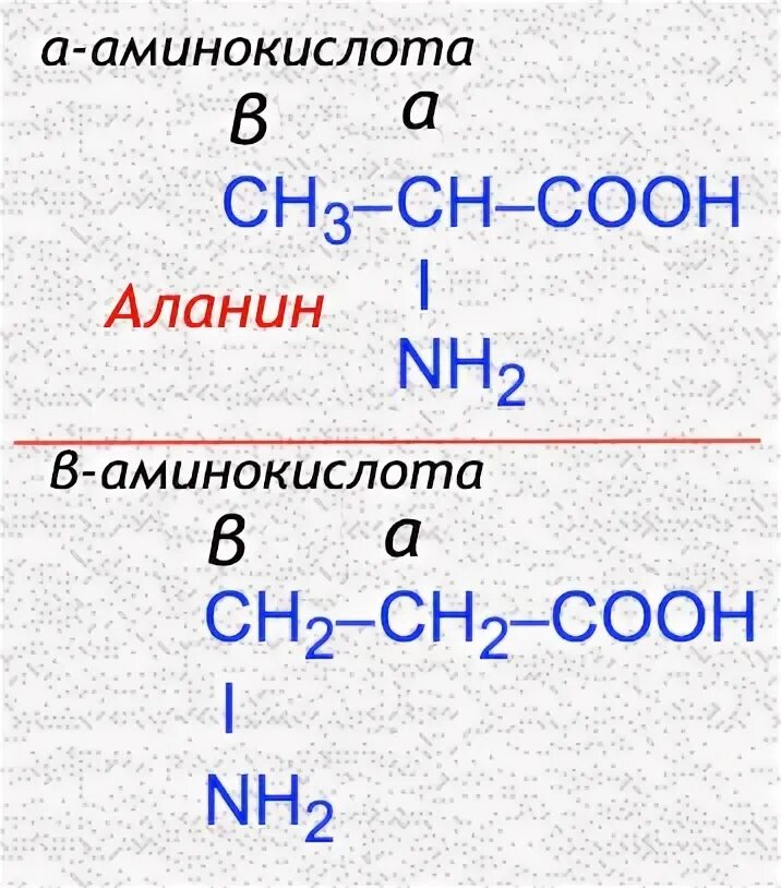 Аланин кислота реакция. Аланин и бромоводородная кислота. Аланин с бромоводородной кислотой. Аланин и аммиак реакция. Аланин и бром.