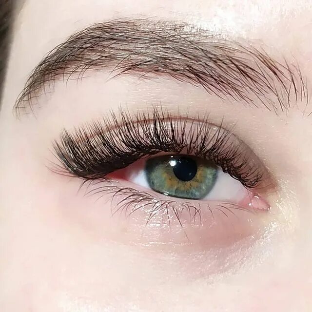 наращивание ресниц алтуфьево. наращивание ресниц алтуфьево. ресницы 2д беличий эффект. ресницы евпатория брови. наращивание ресниц алтуфьево.