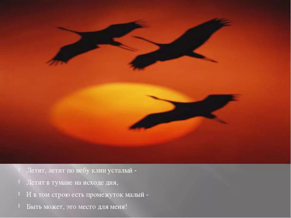 Песня на стихи расула гамзатова журавли. Клин журавлей в небе Гамзатов. Летит летит по небу Клин усталый. Журавлиный Клин.