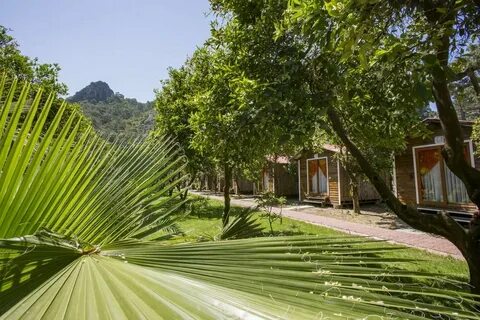 Olympos health resort 5