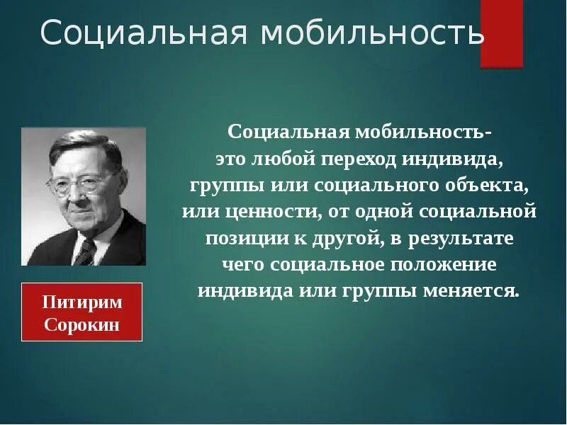 Социальная мобильность - виды в обществознании, основные признаки, примеры, что 