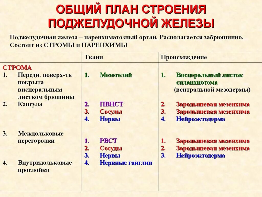 Особенности строения функции поджелудочной железы. Поджелудочная железа строение и функции таблица. функции поджелудочной железы таблица. строение поджелудочной железы таблица. поджелудочная железа особенности строения и функции.
