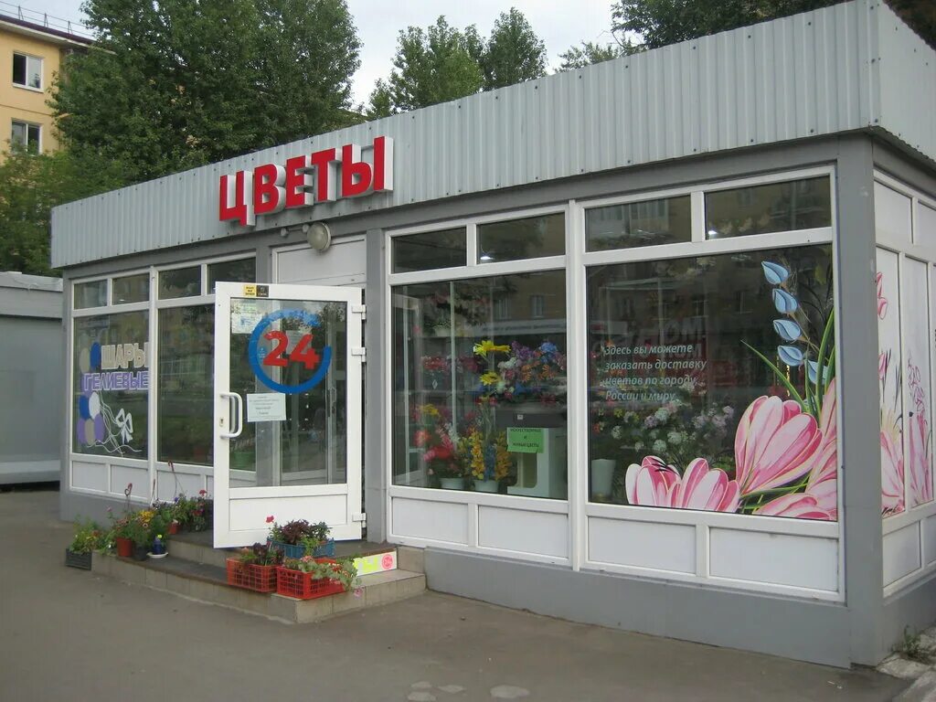 Мэрия города омска. Цвет города омск. Клумба омск. Клумба омск цветы. Омск город цветов.