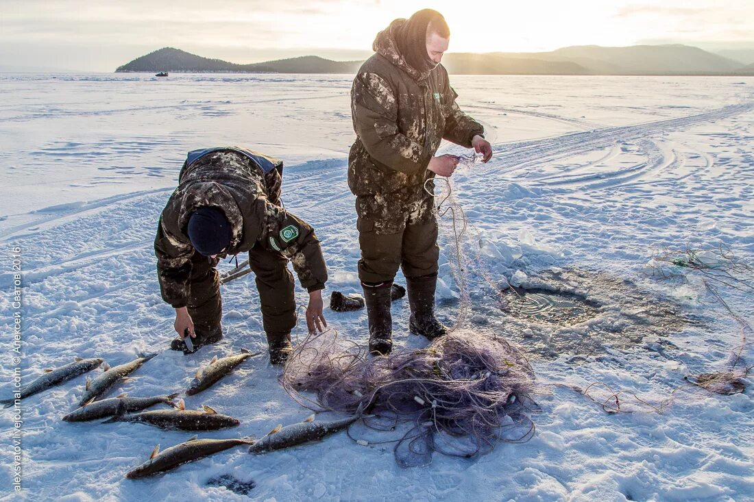 Мертвая ловля. Озеро Байкал браконьерство. Промысел на Байкале.