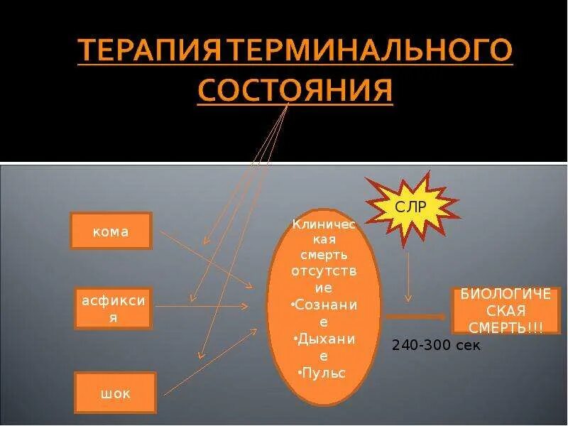 Обратимые терминальные состояния. Терминальные состояния. терминальные состояния схема. процессы терминального состояния. терминальные состояния слр.
