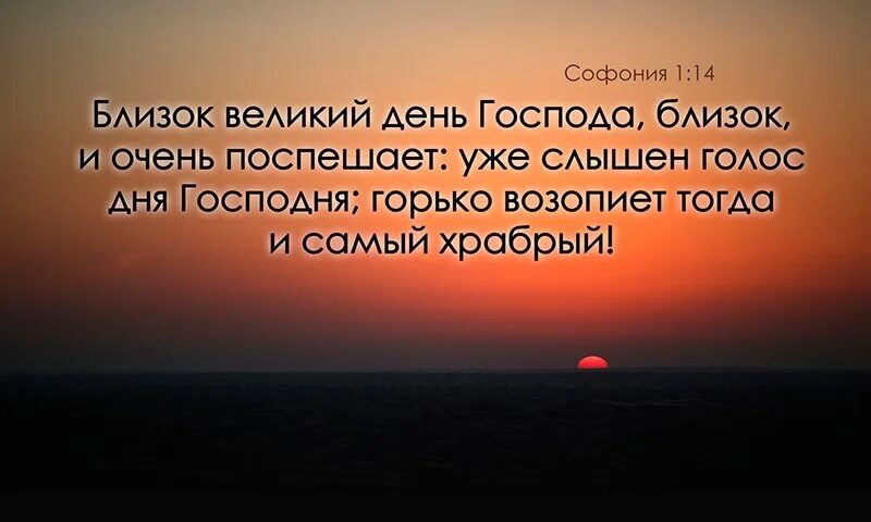 Близко господин