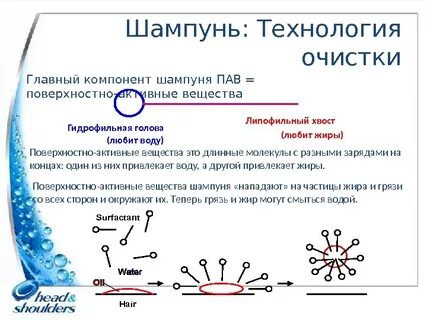 Пав кратко