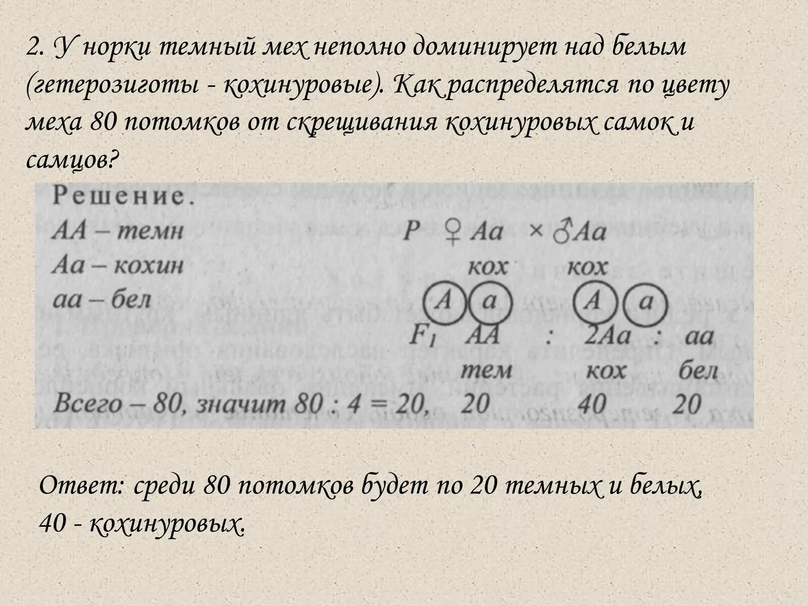 Двух серых крыс скрестили с белым самцом. Задачи по генетике 9 моногибридное скрещивание. Двух серых крыс скрестили с белым самцом. Схема скрещивания гомозиготности. У норки темный мех неполно доминирует над белым гетерозиготы.