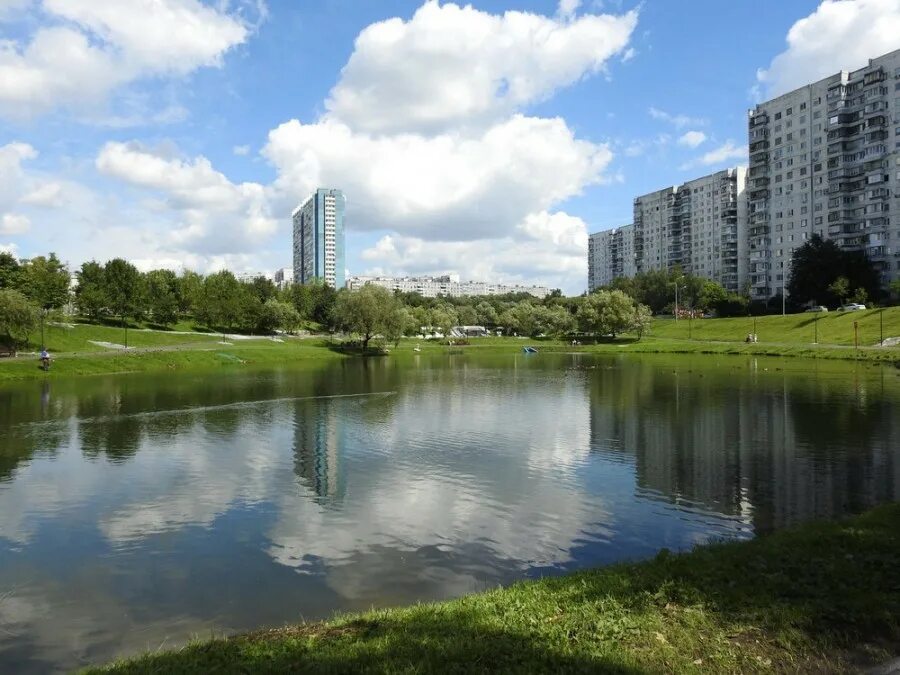 Лесопарк Ясенево. Ясеневский парк Москва. Парк Ясеневские пруды Москва. Район Ясенево Ясеневский лесопарк. Ясенево краснодар