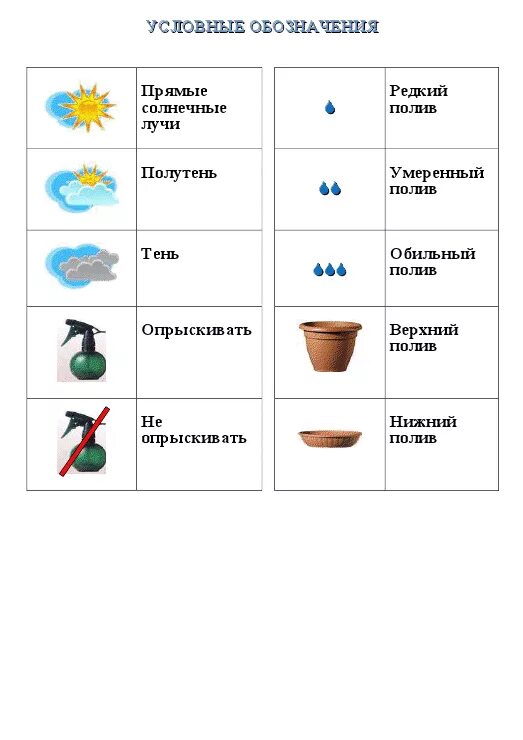 Маркировка цветов в доу