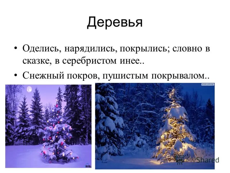 стоят в серебристом инее. сочинение на тему деревья в снегу. стихотворение про зиму. мамин сибиряк наступила настоящая зима. сочинение на тему белый пушистый снег.