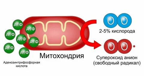 Водородный радикал