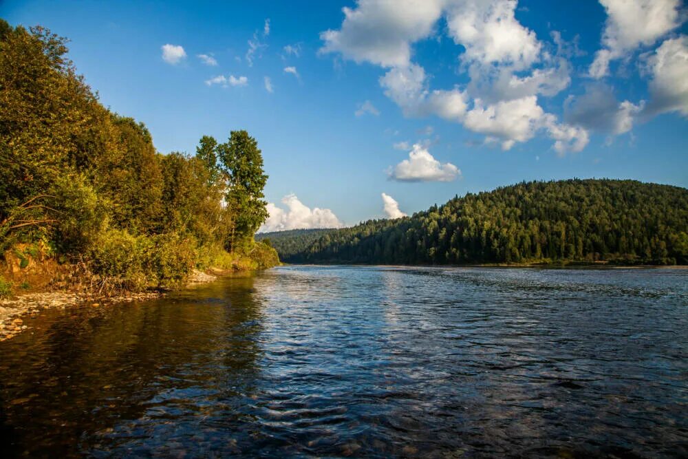 Река Томь Кузбасс. Томь (приток Оби). Река Томь Кемеровская область. Берег реки Томь Кемерово. Приток п