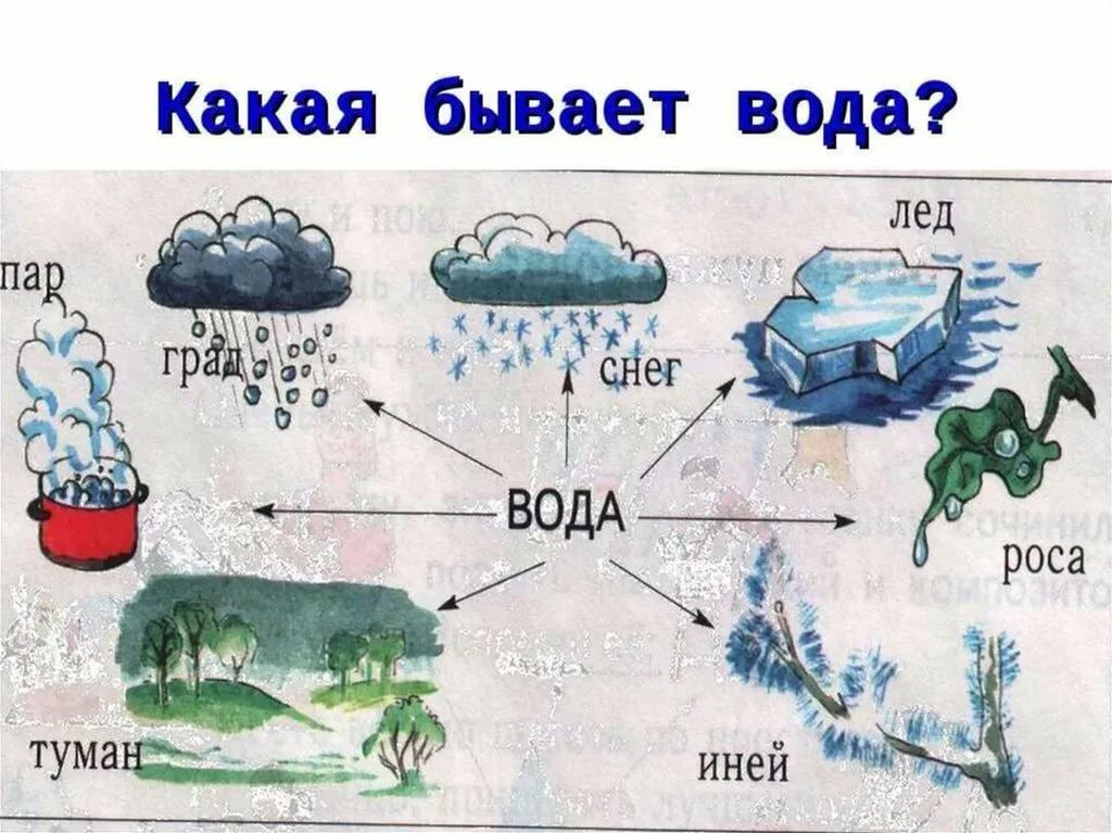 Где есть вода. Какая бывает вода. Какая бывает вода для детей. Состояния воды в картинках для детей. Проект вода для дошкольников.