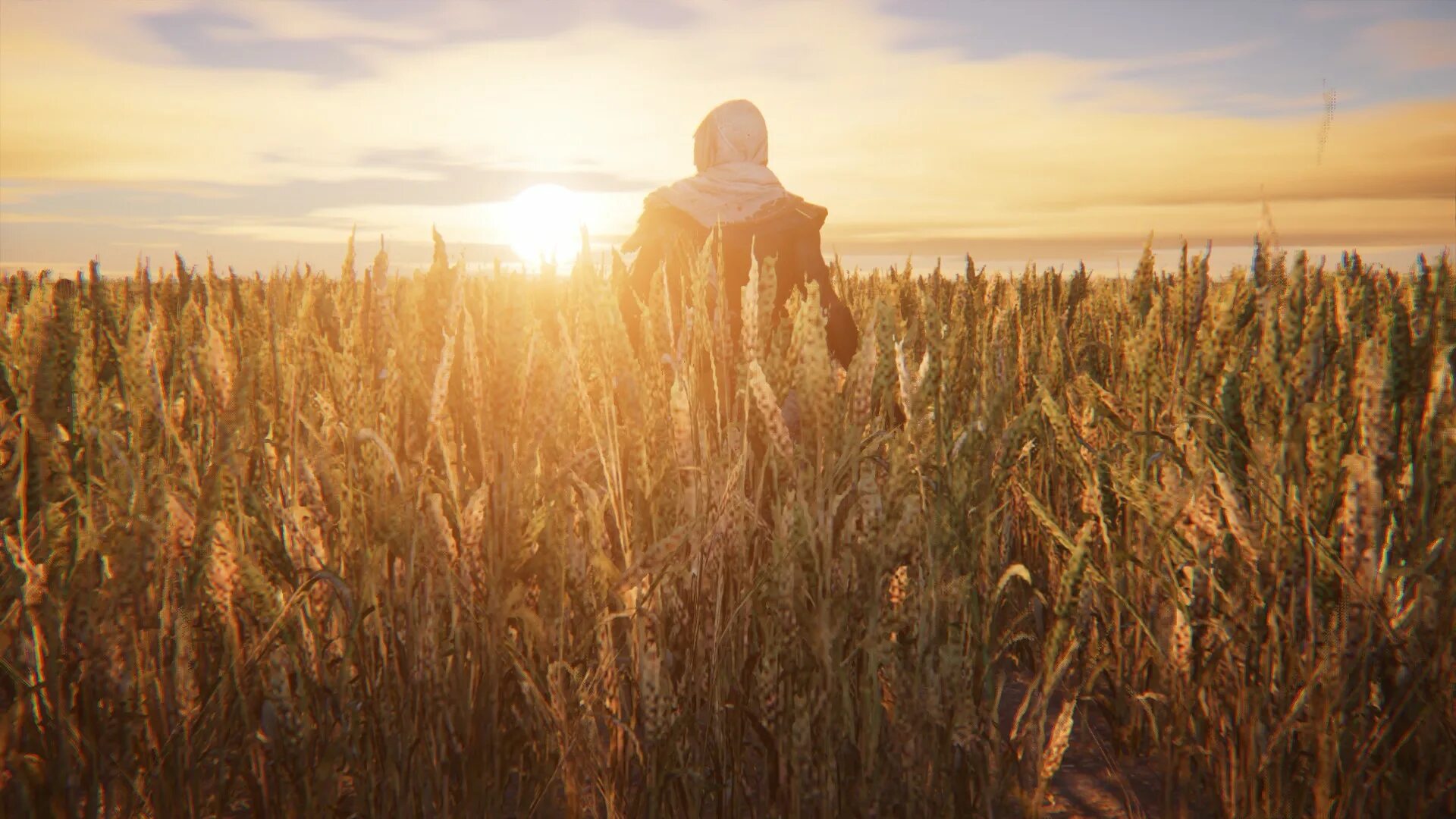 The field is here. Девушка в рисовом поле. Мотивация сельского хозяйства. In the field. Девушка бежит в поле.