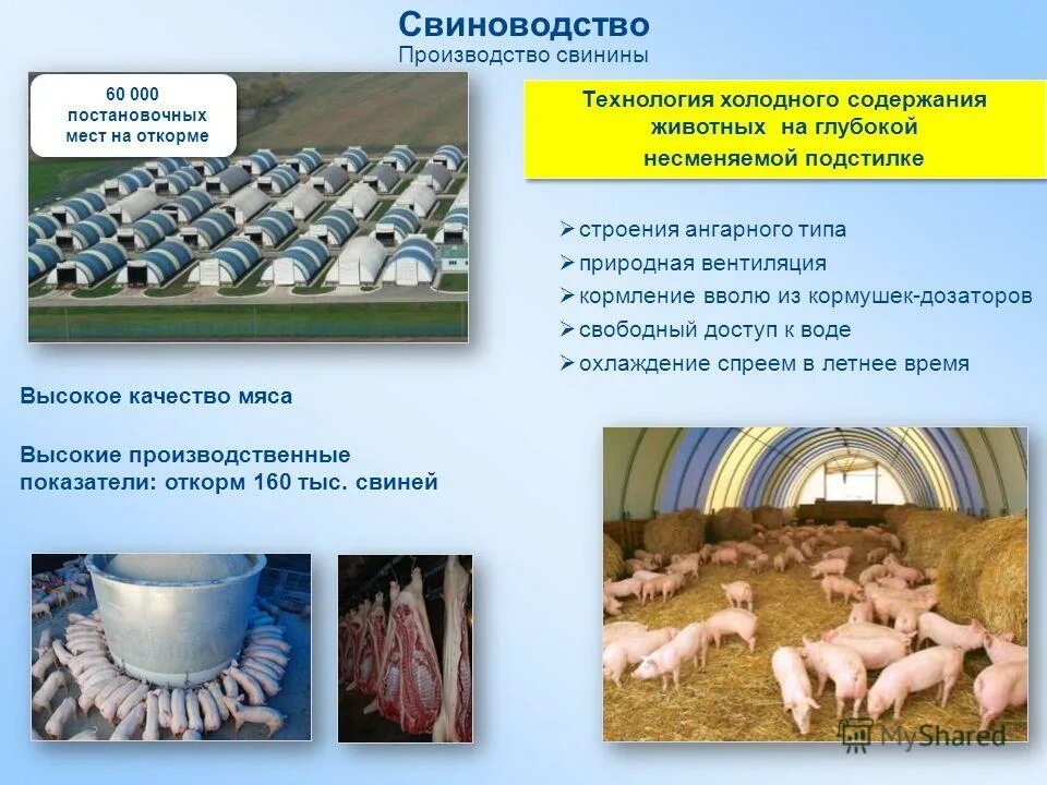 Холод содержание. Холод содержание. Холод содержание. Ферма зимой. Зерновой состав черного щебня гост.