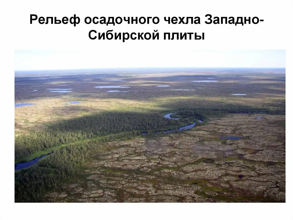 Крупная равнина расположена на древней платформе. Осадочный чехол Западной Сибири. Рельеф посадочного чехла. Рельеф сибирской плиты. Рельеф Западно сибирской плиты.