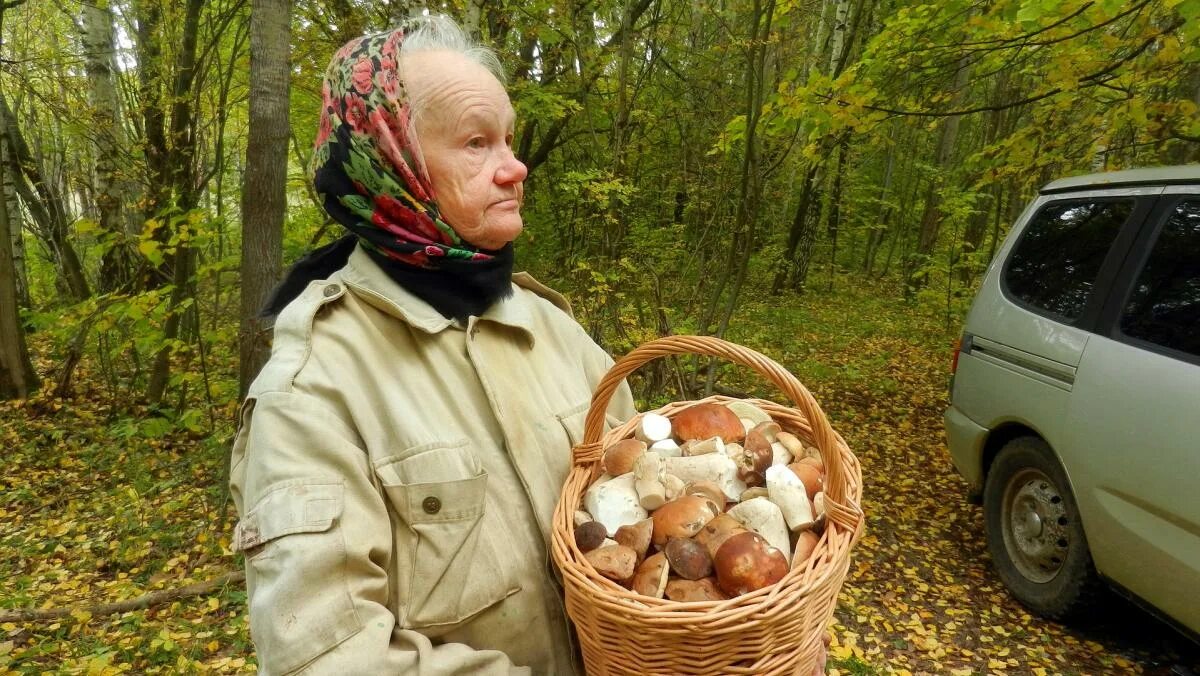 Он видит перед собой большую поляну. Бабушка с белым грибом. Бабушка в одежде для сбора грибов. Мощная грибалка.