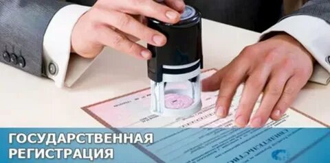 Гос регистрация юр лиц орган