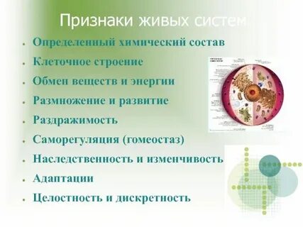 Все свойства живых организмов огэ