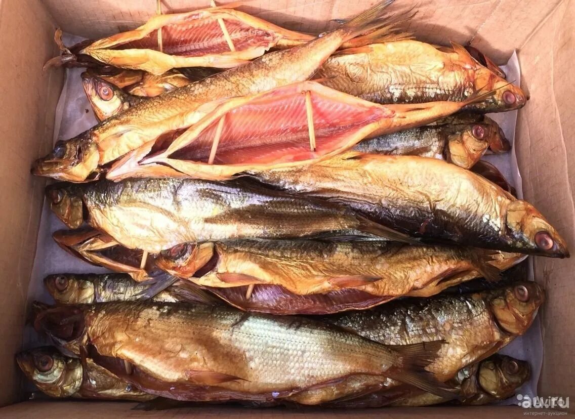 Как выглядит омуль. Омуль балтийский. Как выглядит омуль. Озеро байкал омуль байкальский. Копчения омуль.