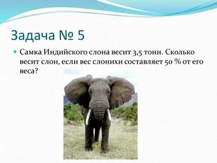 Сожаление весит тонны