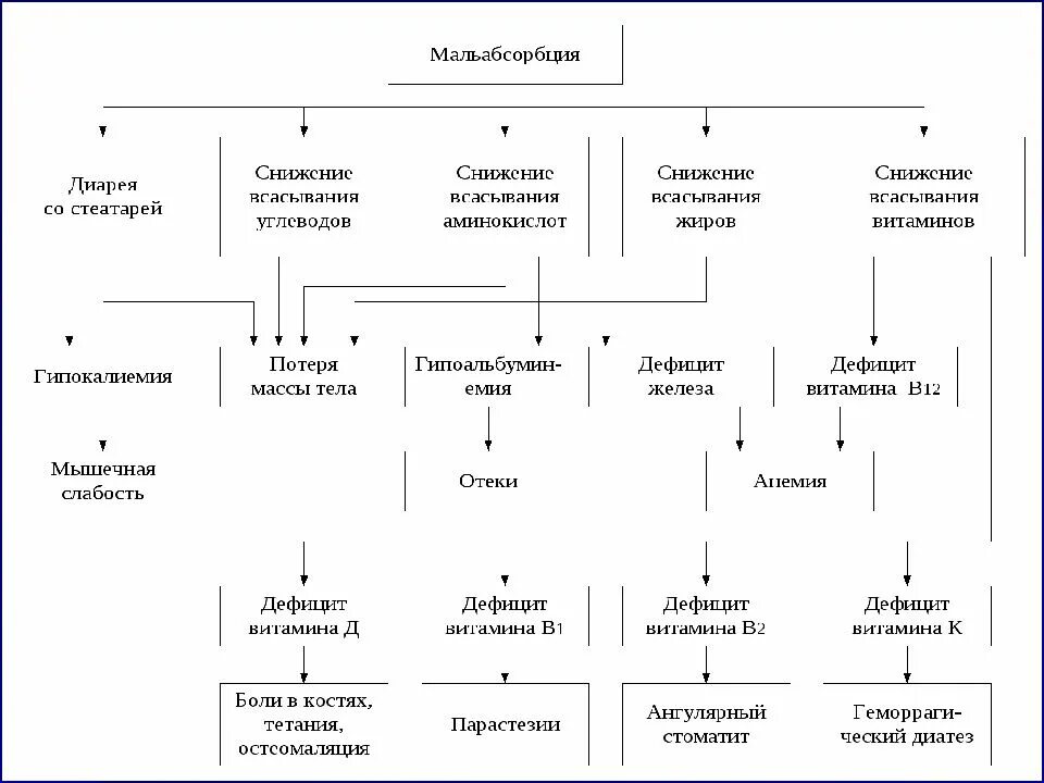 Синдром мальабсорбции что это такое. Дифференциальная диагностика синдрома мальабсорбции.. Дифференциальная диагностика мальабсорбции у детей. Дифференциальная диагностика при синдроме нарушенного всасывания. Дифференциальный диагноз с-ма мальабсорбции.