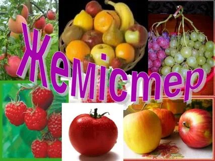 Моңғолияның секс қыздары