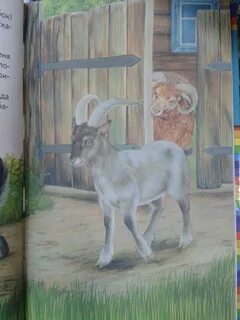 Ушинский плутишка