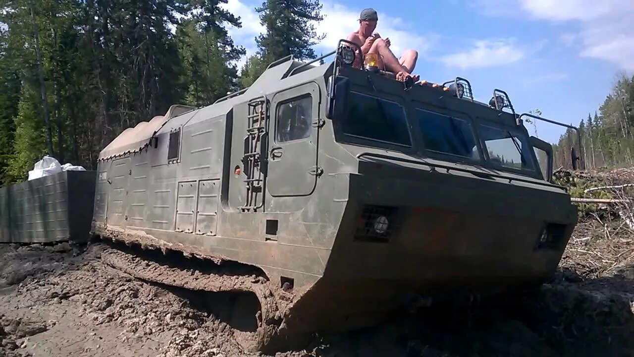 Дт витязь. Вездеход дт-30 тайга. витязь дт 30 на бездорожье. вездеход витязь по бездорожью севера. дт30 витязь на севере.