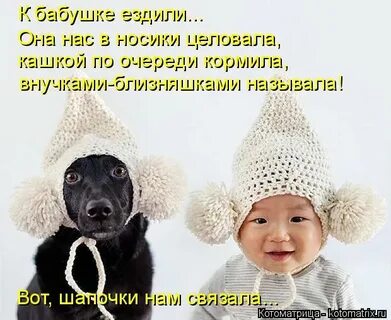 Не ездил к бабушке