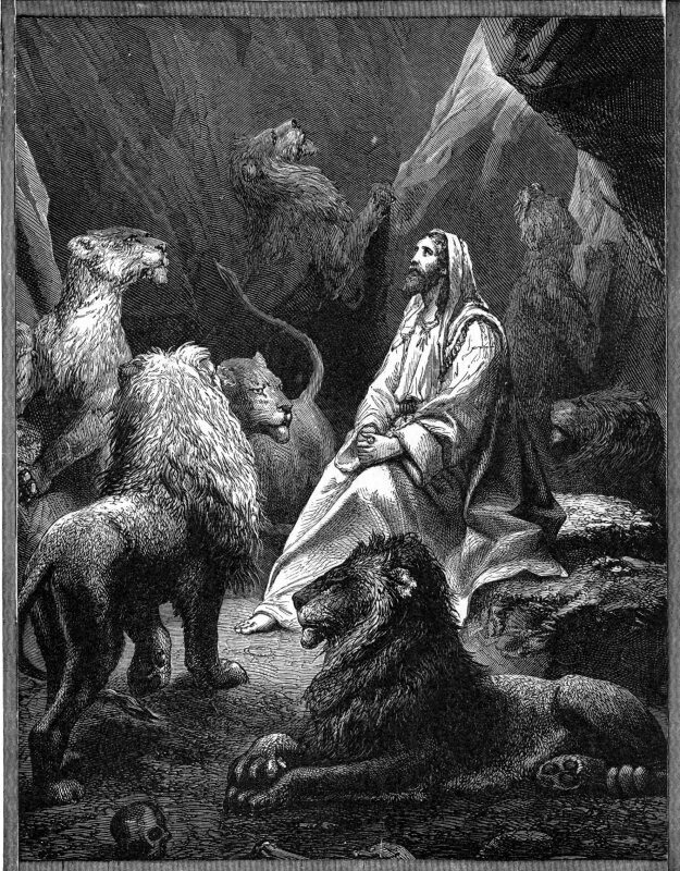 Даниила во рву. Даниила во рву. Брайтон ривьер львы. Даниила во рву. Даниила во рву.