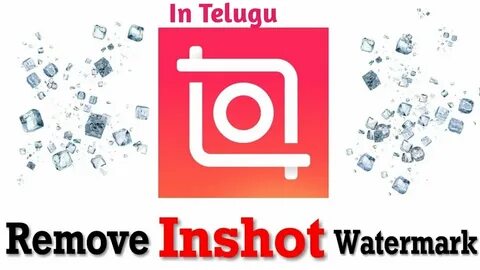 Lnshot