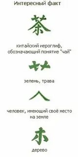 Тогда китайский
